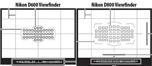 Nikon D600 против видоискателя D800 Nikon D600 против видоискателя D800
