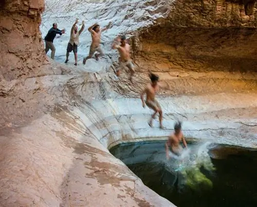 Image Image