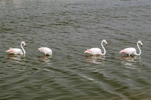 Образцы изображений Fuji X-T30 № 29