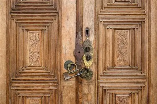 Образцы изображений Fuji X-T30 №61