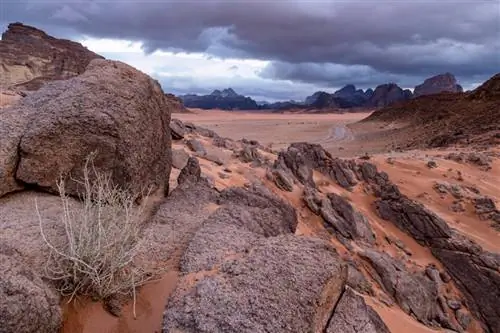 Образцы изображений Fuji X-T30 № 40