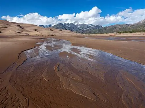 Образец изображения Fuji GFX 50S (1)