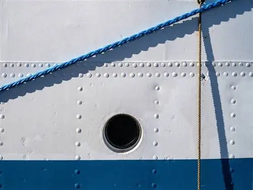 Образец изображения Fujifilm GFX 100 № 7