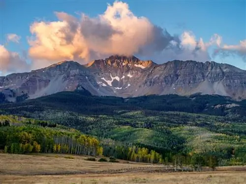 Образец изображения Fujifilm GFX 100 № 45