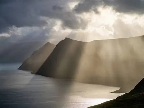 Образец изображения Fujifilm GFX 100 № 25