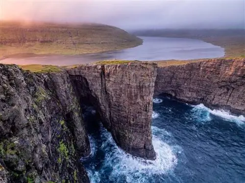 Образец изображения Fujifilm GFX 100 № 27