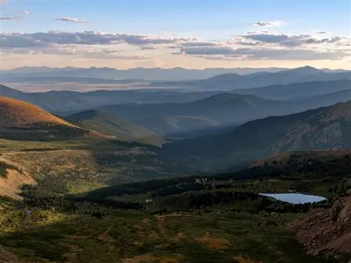 Образец изображения Fujifilm GFX 100 №1