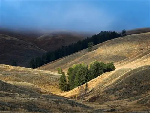 6. Голубое облако над Ламаром, Йеллоустоун