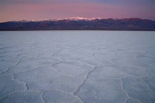 Образец изображения Canon EOS R № 25