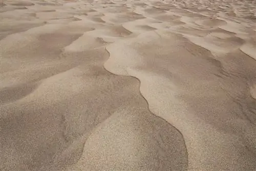 Образец Canon RF 24-105mm f4 Аннотация