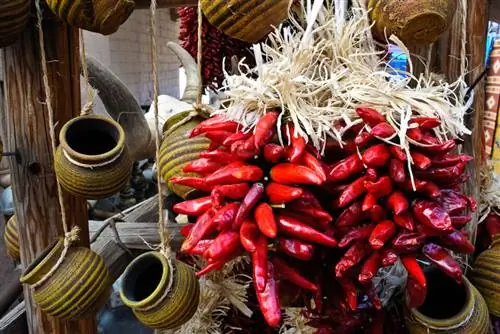 Образец Nikon 1 10 мм (6)