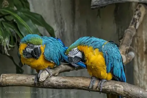 Обзор Nikon 1 70-300mm f/4.5-5.6 VR