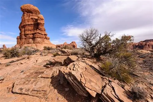 Образец изображения Nikon 16-35mm f4G VR (16)