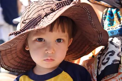 Пример изображения Nikon 24-120mm f4G VR (14)