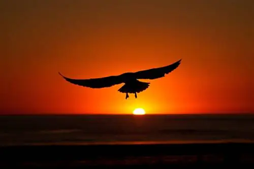 Пример изображения Nikon 24-120mm f4G VR (18)