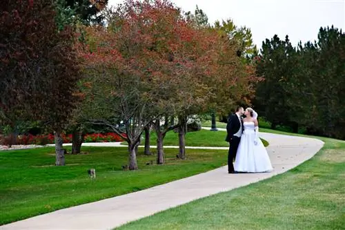 Пример изображения Nikon 24-120mm f4G VR (6)