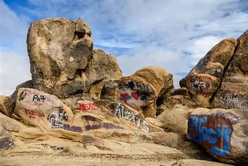 Образец изображения Nikon 24-70mm f2.8E VR (18)