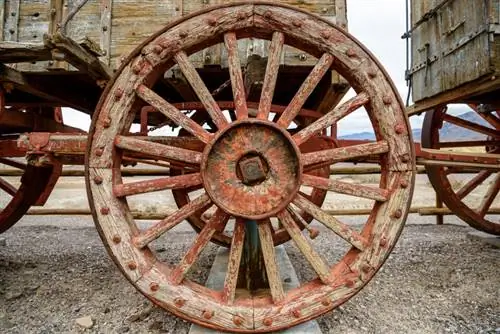 Образец изображения Nikon 24-70mm f2.8E VR (23)