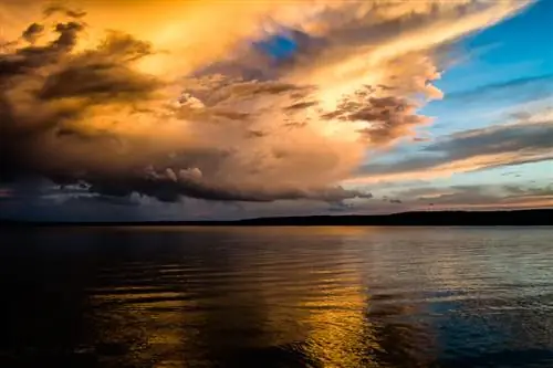 Образец Nikon 24-85 мм VR (1)