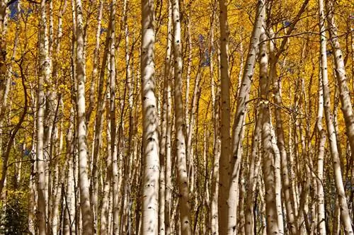 Nikon 28-300 мм, образец № 11