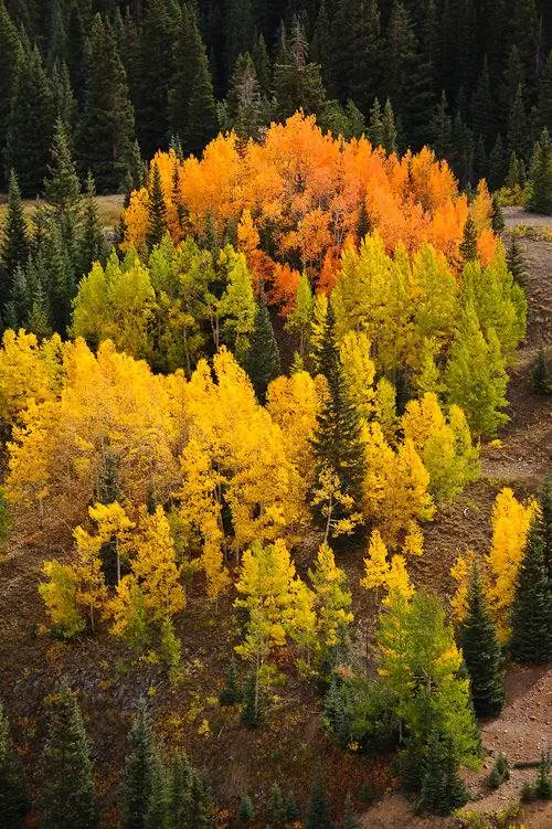 Nikon 28-300 мм, образец № 19