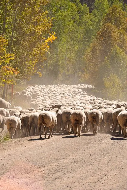 Nikon 28-300 мм, образец №5