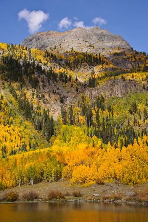 Nikon 28-300 мм, образец № 20