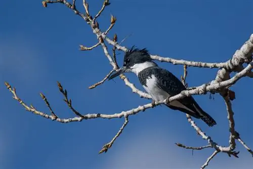 Примеры изображений Nikon 300mm f4E FL VR (23)