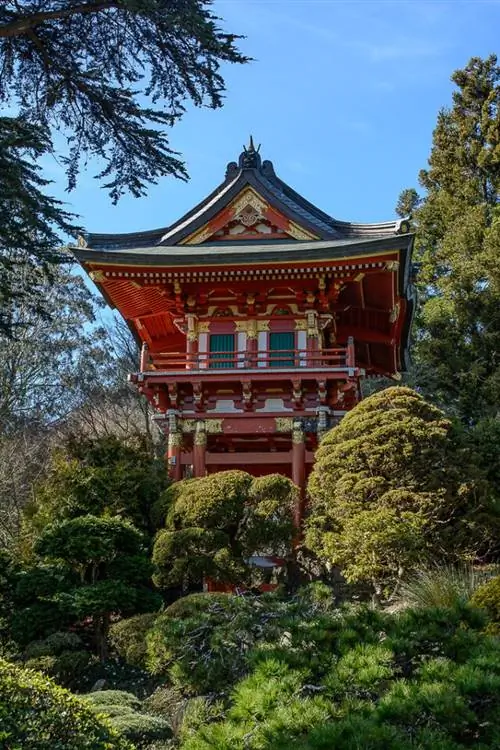 Образец Samyang 35mm f/1.4 (14)