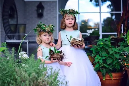 Образец Сигмы № 3