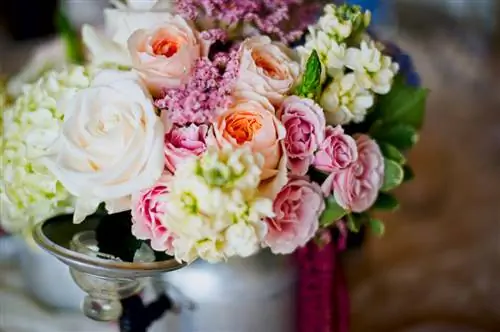 Образец Сигмы № 8