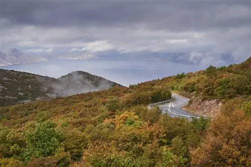 2. Осень в Далмации