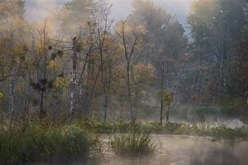 4. Туманное утро в Плитвицах