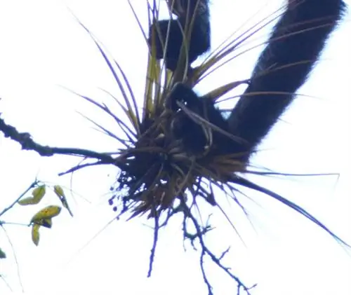 9. Хроматическая аберрация