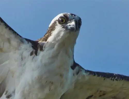 Обрезка изображения №6