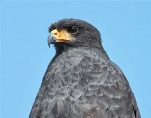 Обрезка изображения №7