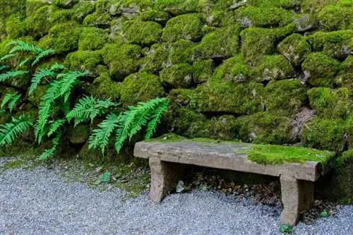 Образец Zeiss 35mm f/1,4 (15)