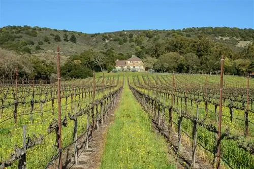 Образец Zeiss 35mm f/1,4 (12)