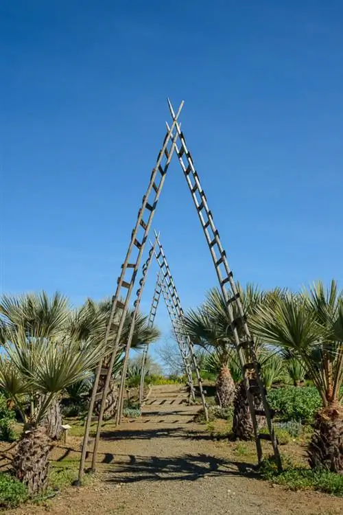 Образец Zeiss 35mm f/1,4 (11)