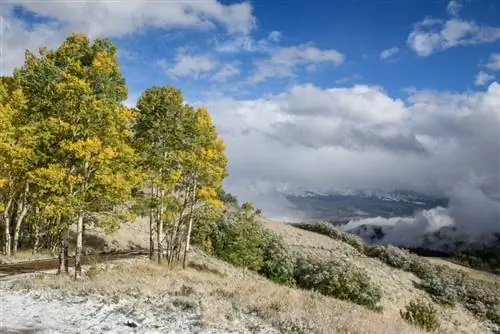 Пример изображения Zeiss Distagon 35mm f/2 (3)