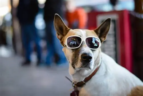 Образец изображения Nikon 58mm f/1.4G (54)