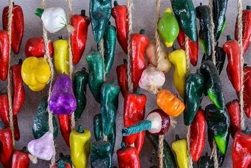 Образец изображения Nikon 58mm f/1.4G (36)