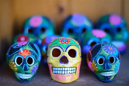 Образец изображения Nikon 58mm f/1.4G (48)