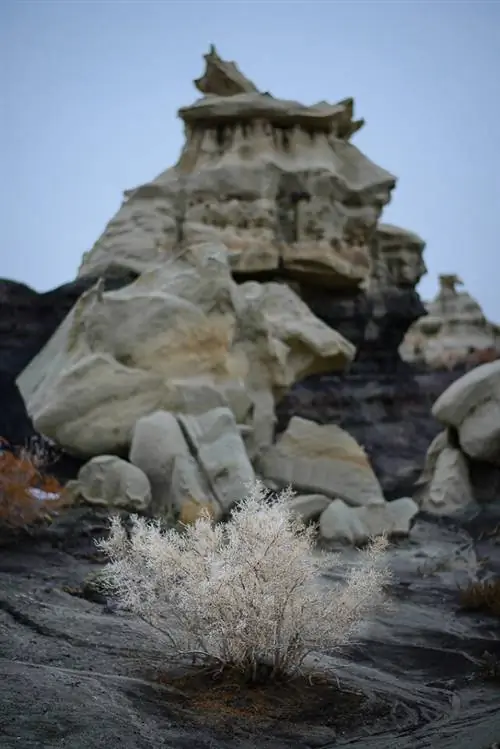 Образец изображения Nikon 58mm f/1.4G (61)