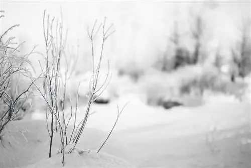 Образец изображения Nikon 58mm f/1.4G (20)