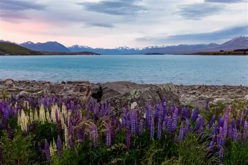 Образец изображения Canon EOS R № 1