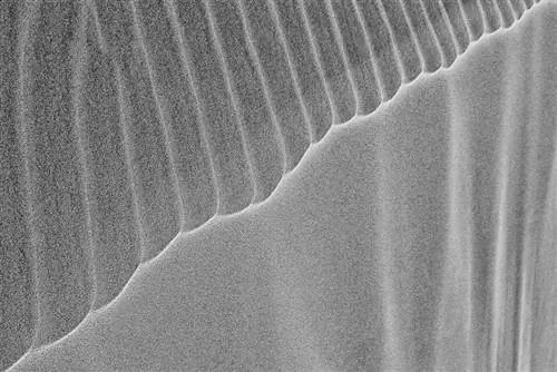 Образец Nikon 1 V1 (8)