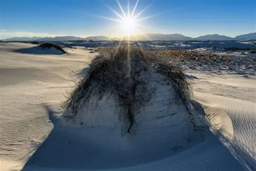 Образец изображения Nikon 24mm f/1.8G (2)