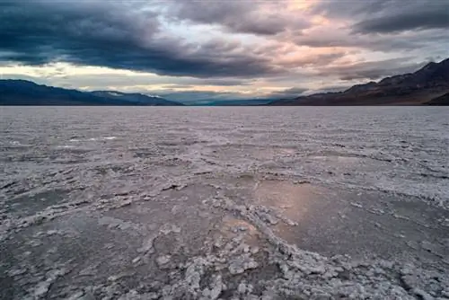 Образец изображения Nikon 24mm f/1.8G (23)