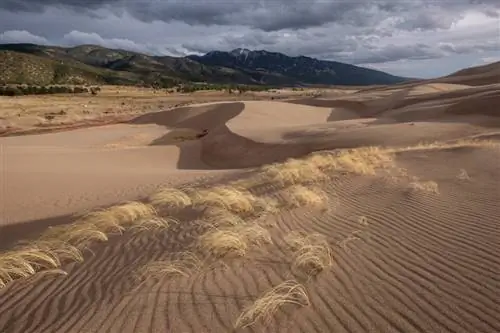 Образец изображения Fuji X-H1 №1